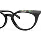Black Tortoise