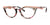 OGI BIG BABE Eyeglasses | Size 55 / Rose Tortoise