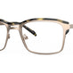 Gold Tortoise