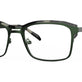 Olive Tortoise
