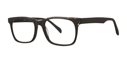 OGI CAPITOL Eyeglasses Black Tortoise