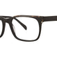Black Tortoise