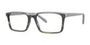 OGI Kids DETOUR Eyeglasses | Size 51 / Horn