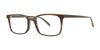 OGI DIGGS Eyeglasses | Size 50 / Horn Matte