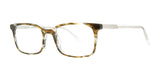 OGI DIGGS Eyeglasses Olive Brown Tortoise