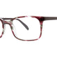 Plum Grey Tortoise