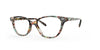 OGI DONTCHA KNOW Eyeglasses | Size 51 / Havana Mint Tortoise