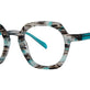 Gray Teal Haze Tortoise