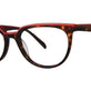 Red Tortoise