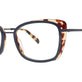 Navy/Tortoise
