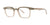 OGI GET TOGETHER Eyeglasses | Size 48 / Neutral Tortoise