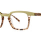 Tortoise Stripe