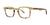 OGI GET TOGETHER Eyeglasses | Size 48 / Tortoise Stripe