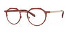 OGI GOTCHA Eyeglasses | Size 48 / Red Tan