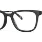 Black Blue Tortoise