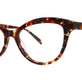 Havana Splash Tortoise