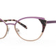 Iris Tortoise