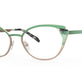 Teal Tortoise