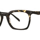 Black Tortoise