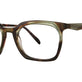 Olive Tortoise