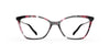 OGI INDEED Eyeglasses | Size 52 / Black Cherry Tortoise