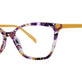 Tortoise Plum