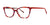 OGI INDEED Eyeglasses | Size 52 / Tangerine Tortoise