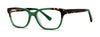 OGI Kids Ok329 Eyeglasses / Cypress / Tortoise / Size 46