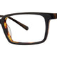 Belize Blue Tortoise