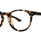 Tokyo Tortoise