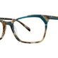 Teal Stripe