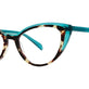 Teal / Tortoise