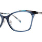 Blue Robin Tortoise
