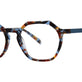 Robin Blue Tortoise