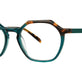Teal Tortoise