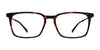 OGI LESTER Eyeglasses | Size 55 / Tortoise