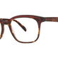 Red Tortoise