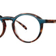 Tortoise Teal