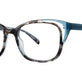 Blue Bird/Tortoise