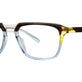 Tortoise Yellow