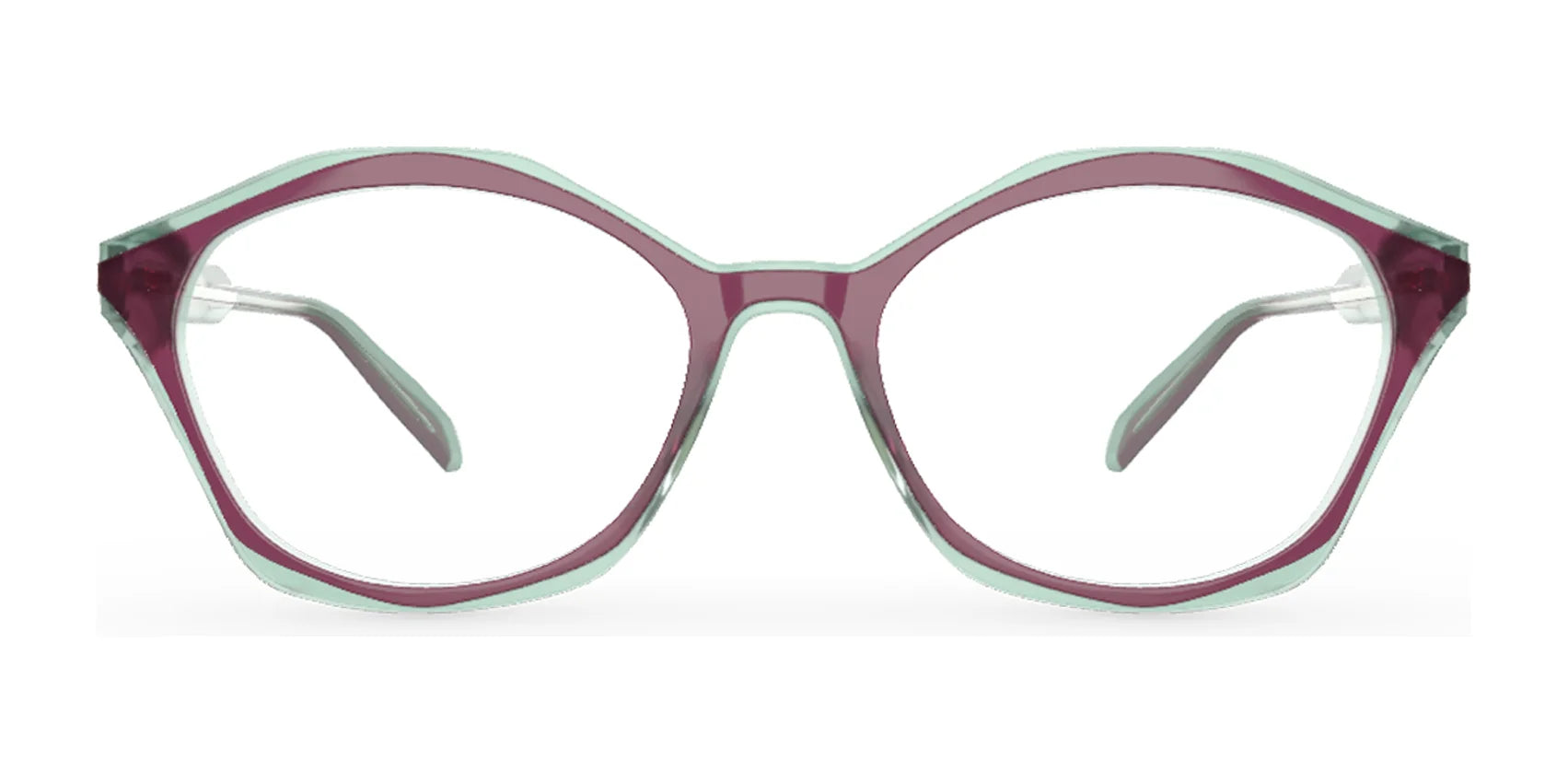 OGI NORTH STAR Eyeglasses | Size 53