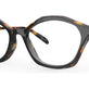 Black Tortoise
