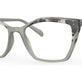Olive Tortoise