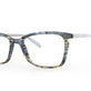 Blue Grey Tortoise