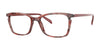 OGI OH MY Eyeglasses | Size 54 / Mint Tortoise