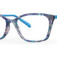 Blue Tortoise
