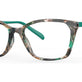 Green Tortoise