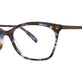 Blue Tortoise/Brown