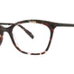 Red Blue Black Tortoise/Dark Teal