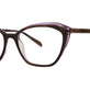 Tortoise Purple